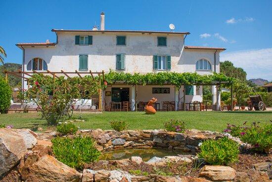 Azienda Agricola Sapereta